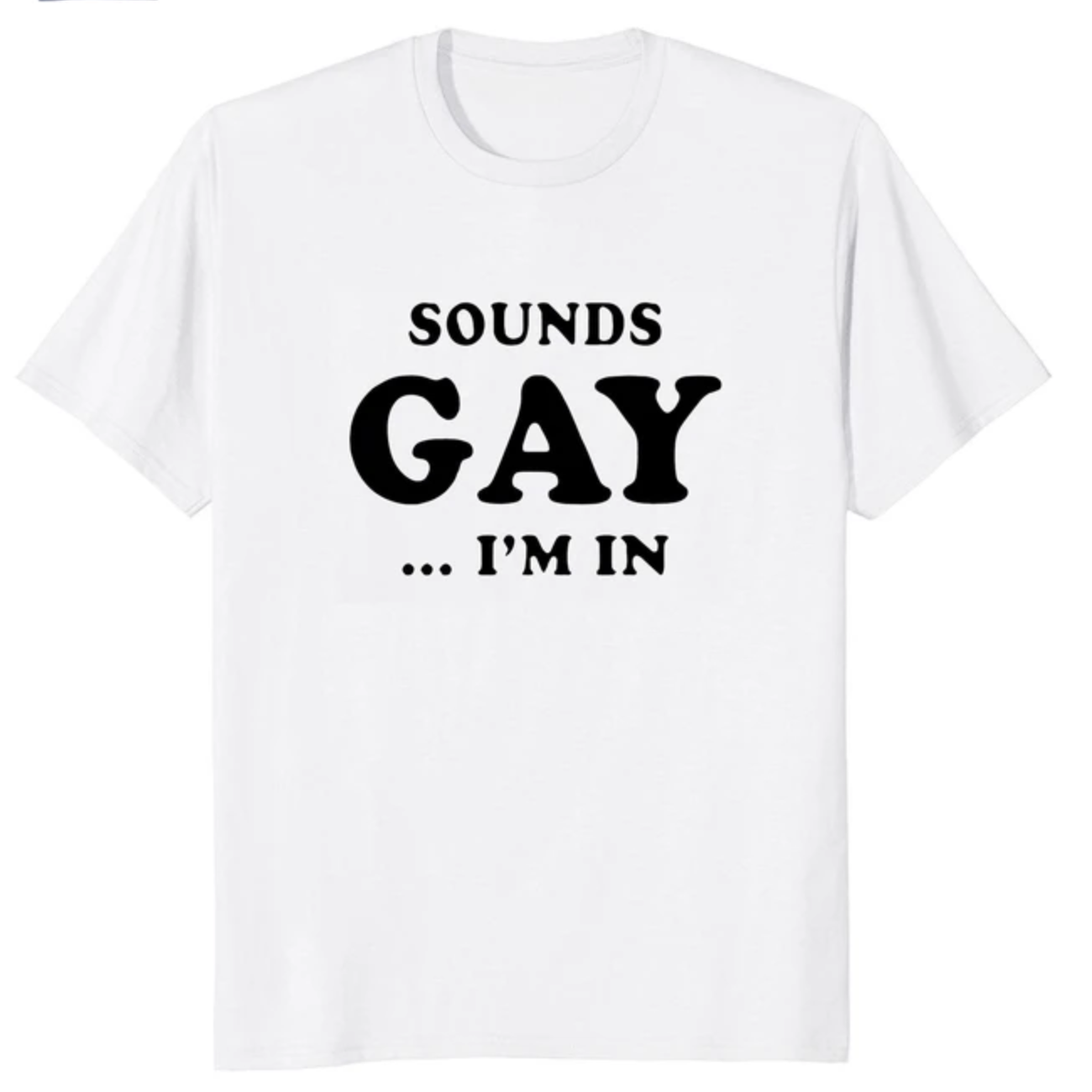 "Sounds Gay... I'm In" Shirt